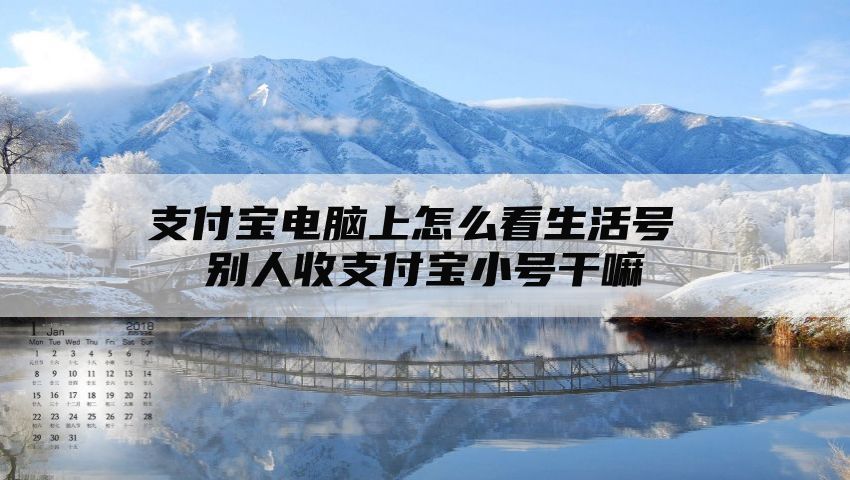 支付宝电脑上怎么看生活号 别人收支付宝小号干嘛